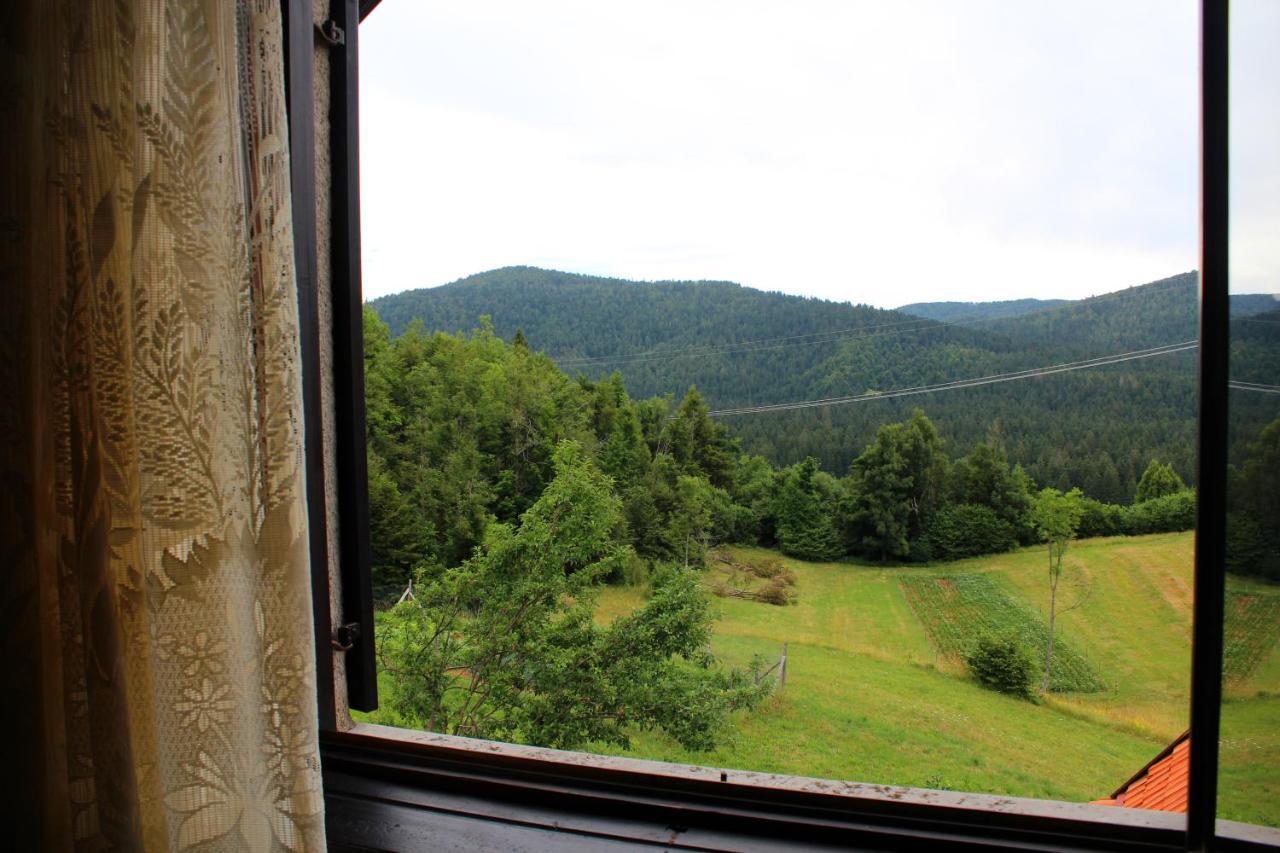 Kuca Za Odmor Cicki Vrh Villa Brestova Draga Buitenkant foto