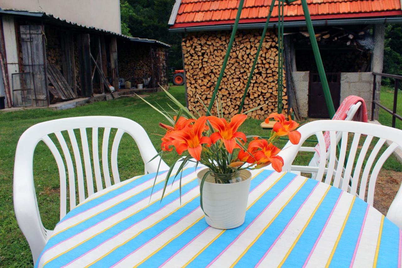 Kuca Za Odmor Cicki Vrh Villa Brestova Draga Buitenkant foto