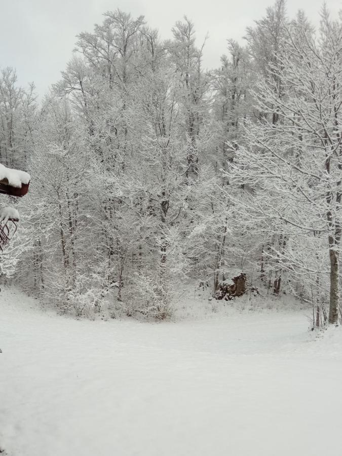 Kuca Za Odmor Cicki Vrh Villa Brestova Draga Buitenkant foto